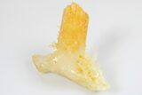 3.4" Mango Quartz Crystal - Cabiche, Colombia - #188359-2
